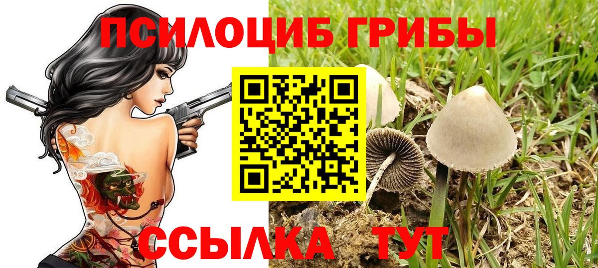 Псилоцибиновые грибы ЛСД  Вход с VPN  наркота  Кизляр 